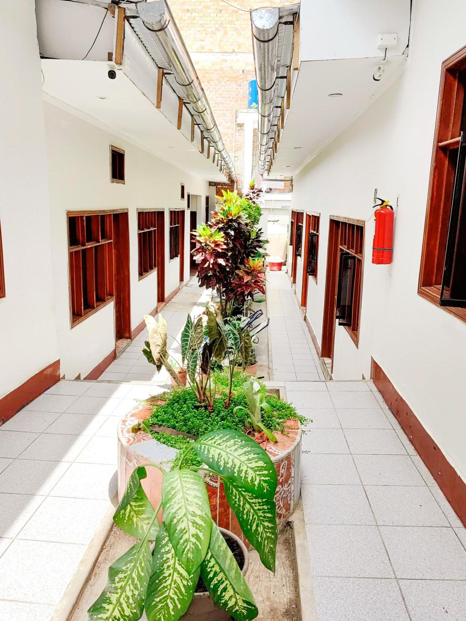 Tengana Hospedaje Y Tours Tarapoto Exterior foto
